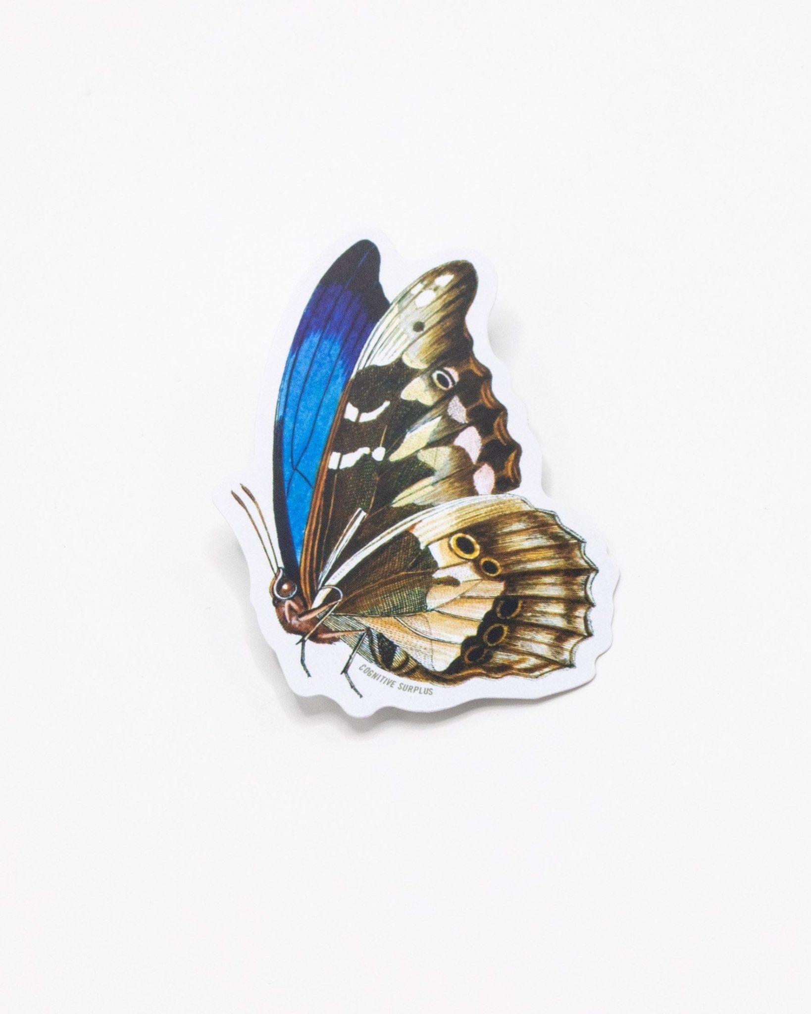 Butterfly Sticker Cognitive Surplus