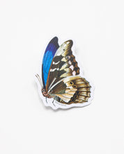 Butterfly Sticker Cognitive Surplus
