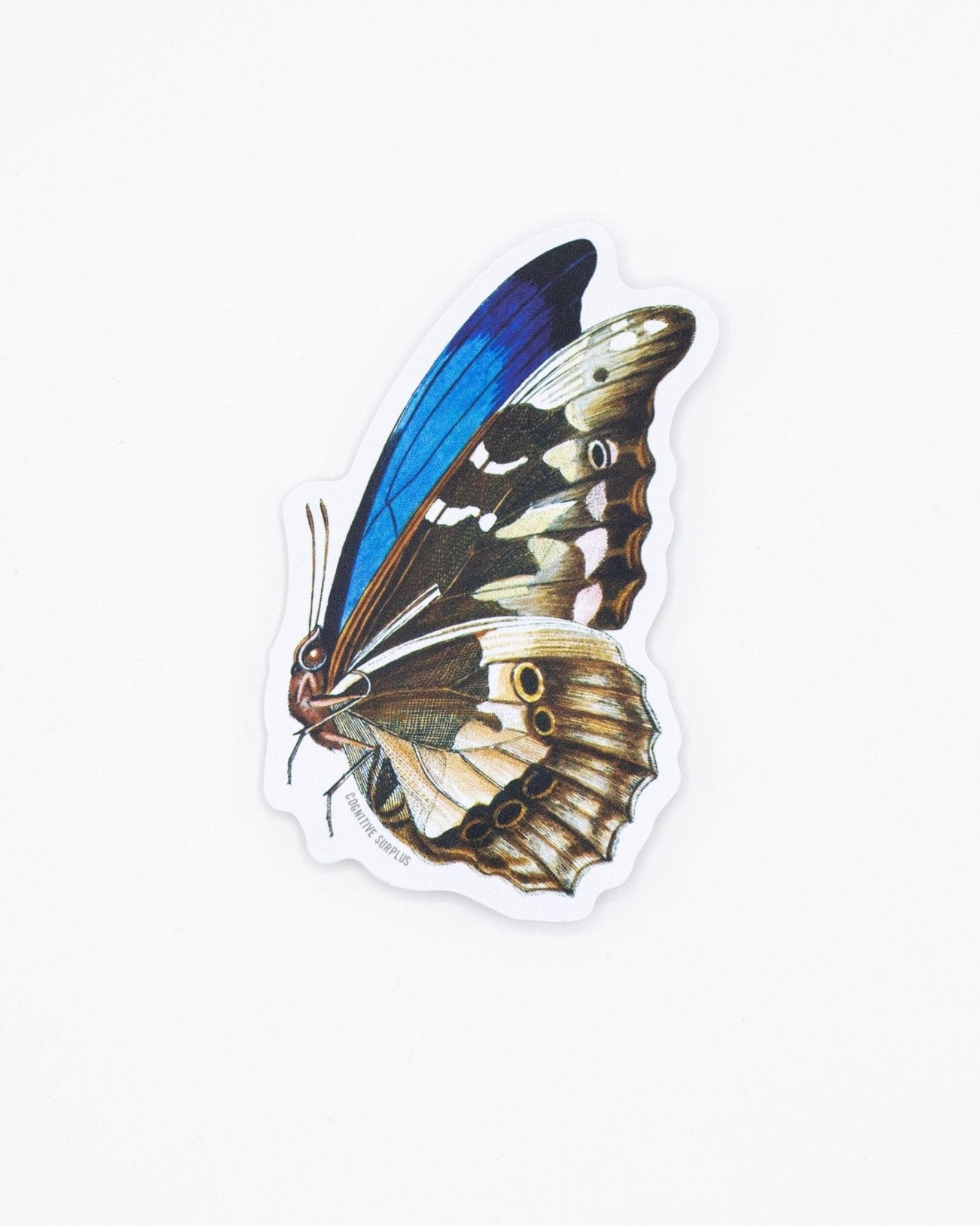 Butterfly-Sticker-Cognitive-Surplus-679.jpg