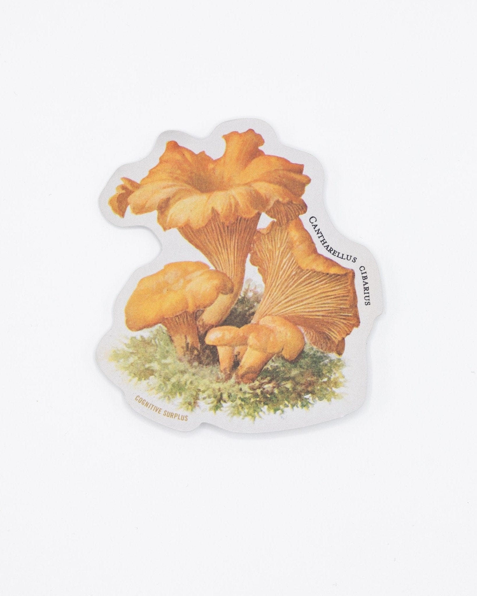 Chanterelle Mushroom Sticker