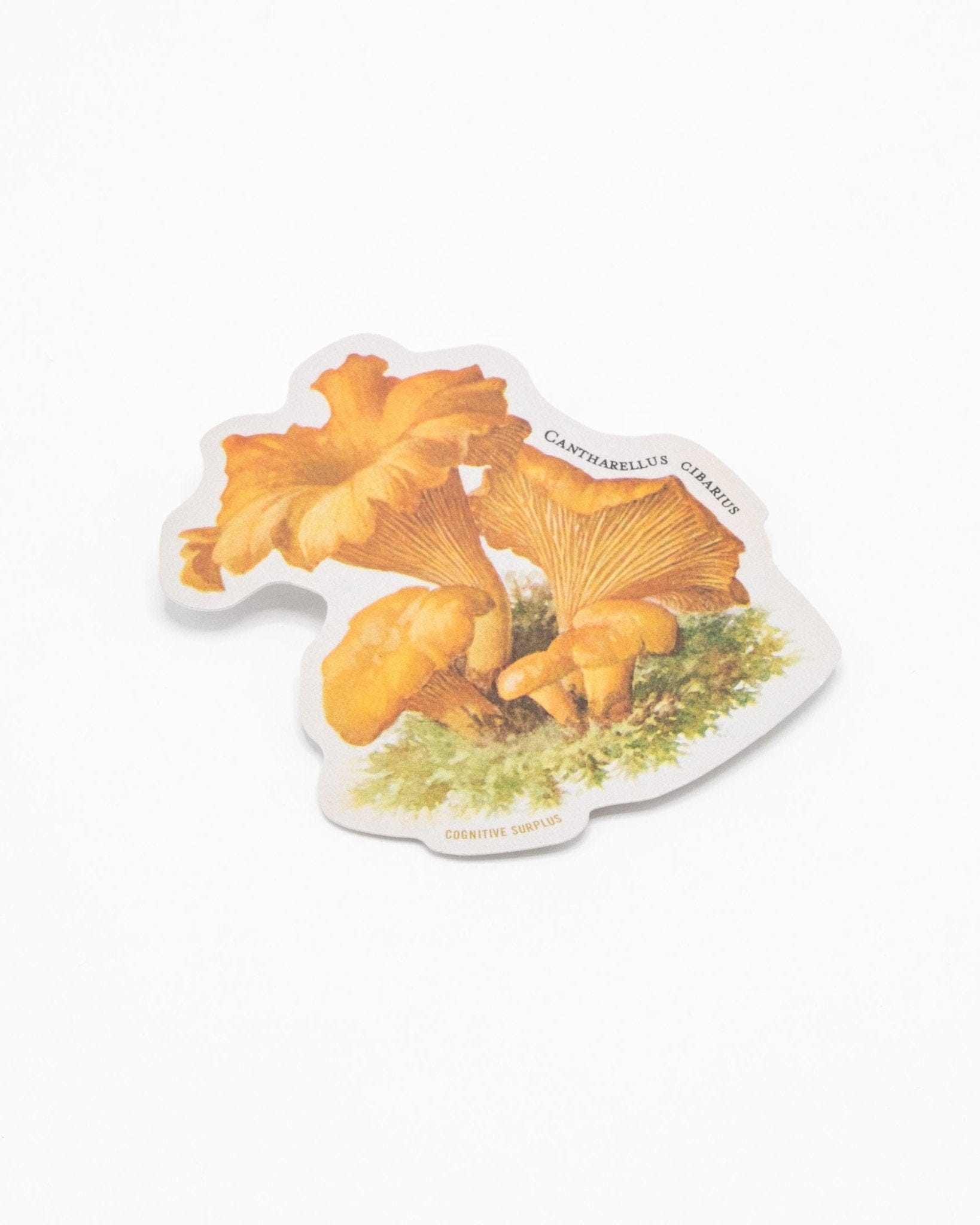 Chanterelle Mushroom Sticker Cognitive Surplus