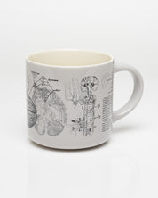 Brain Anatomy 15 oz Ceramic Mug