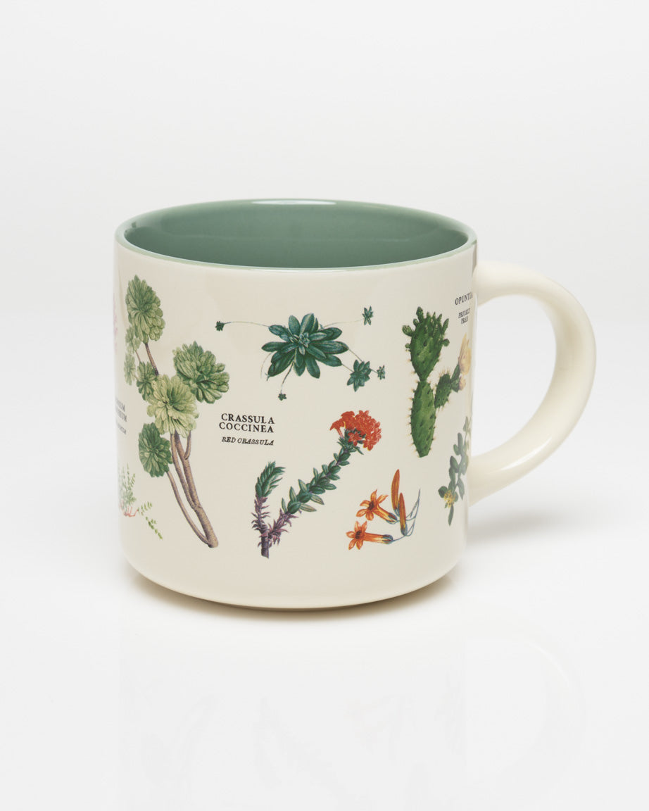 Succulents 15 oz Ceramic Mug