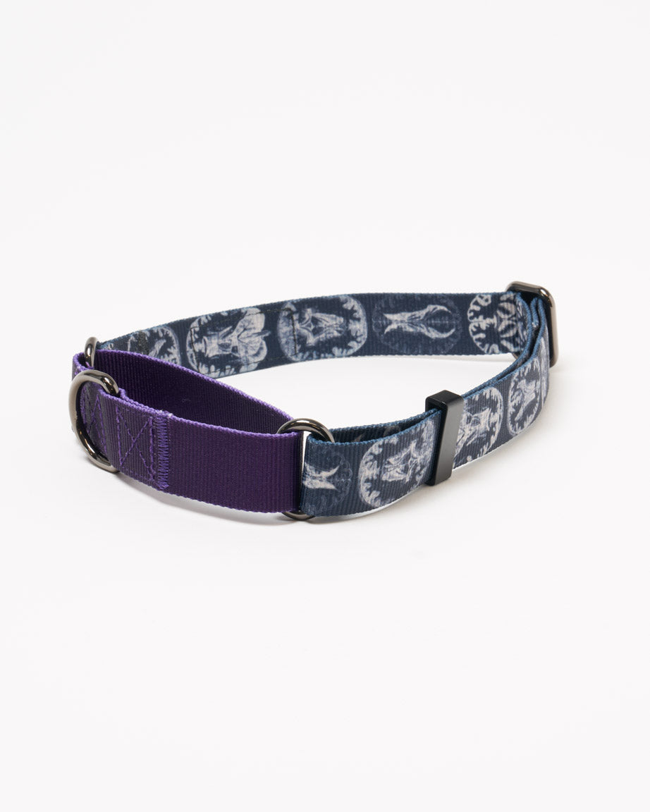 Brain Eco Martingale Collar