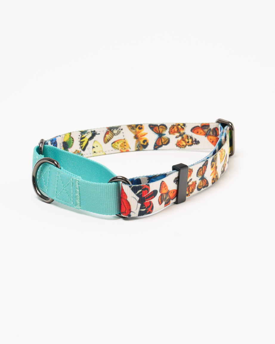 Butterfly Garden Eco Martingale Collar