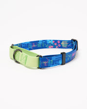 Chemistry Eco Martingale Collar