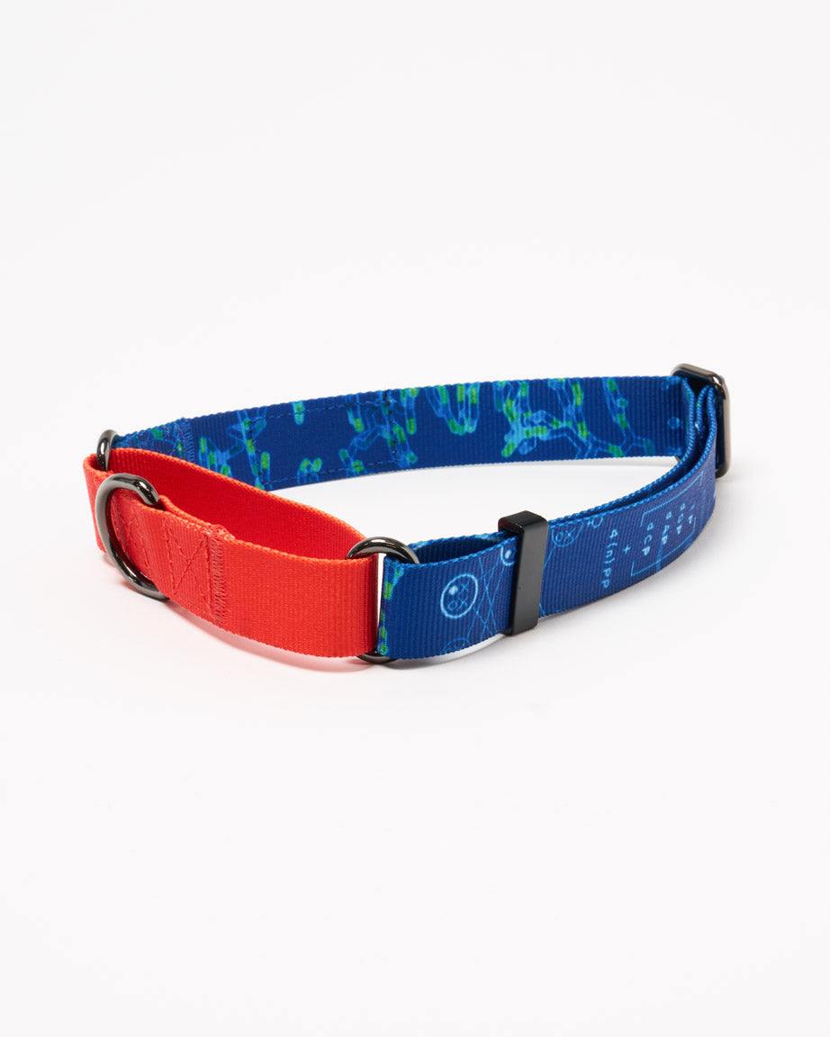 Genetics & DNA Eco Martingale Collar
