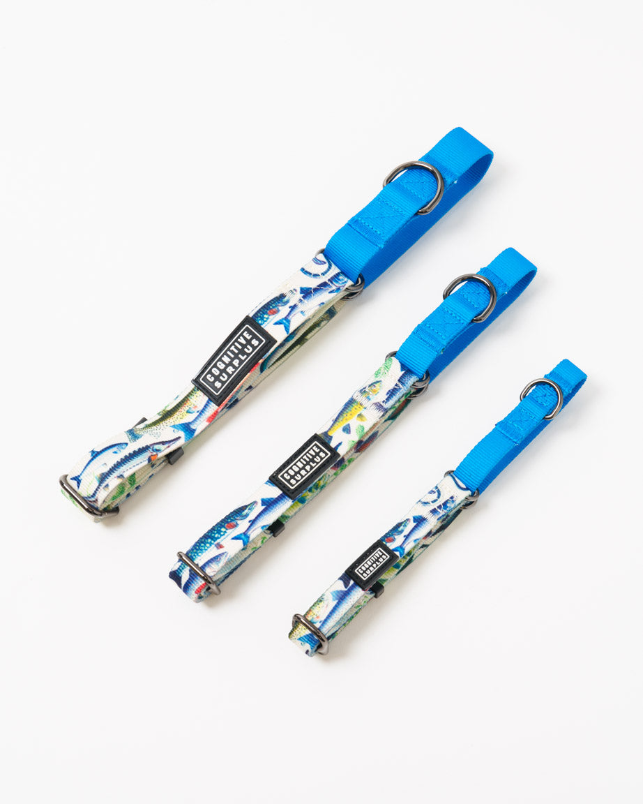 Freshwater Fish Eco Martingale Collar