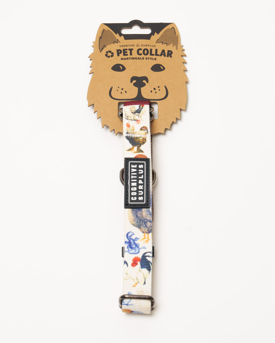 Backyard Chickens Eco Martingale Collar