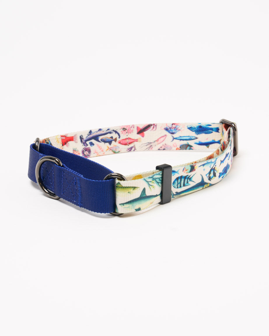 Ocean Science Eco Martingale Collar