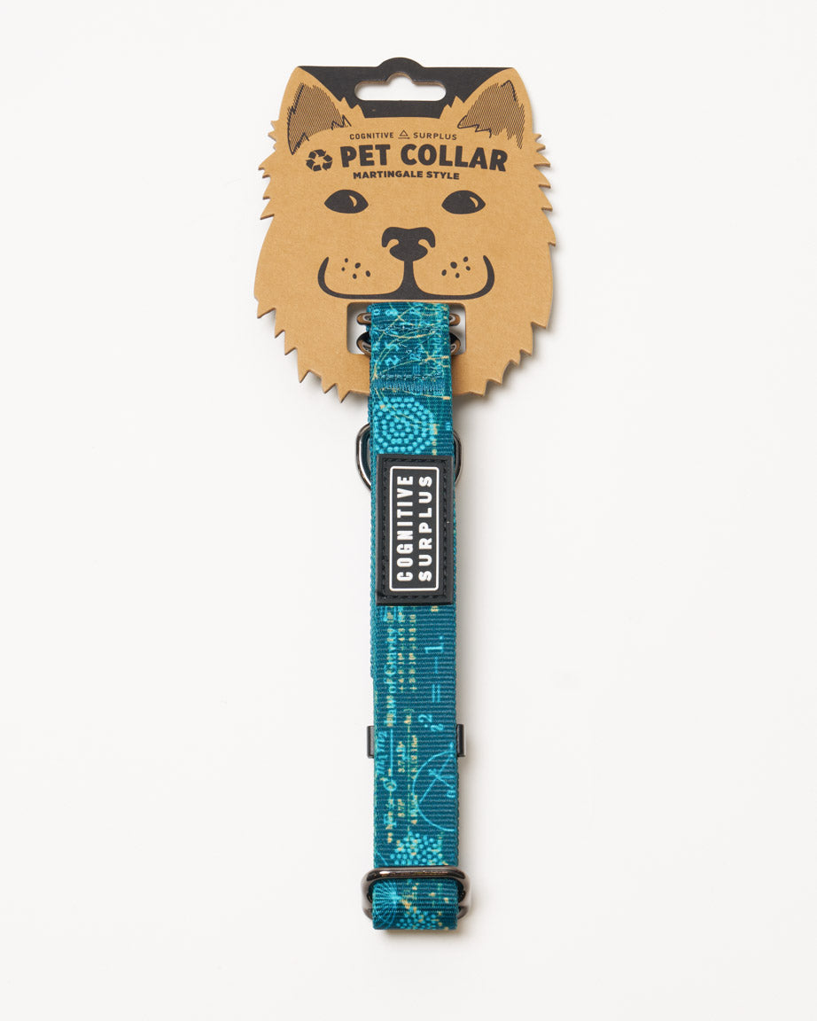 Equations That Changed the World Eco Martingale Collar