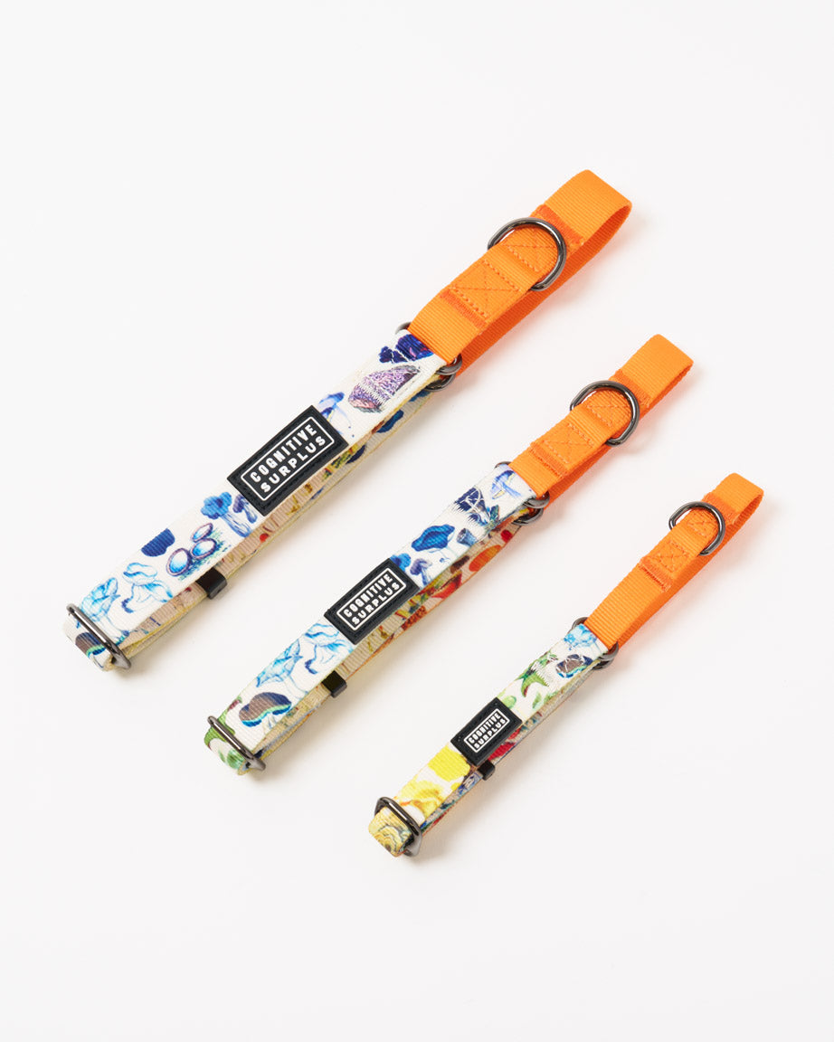 Mushrooms Eco Martingale Collar