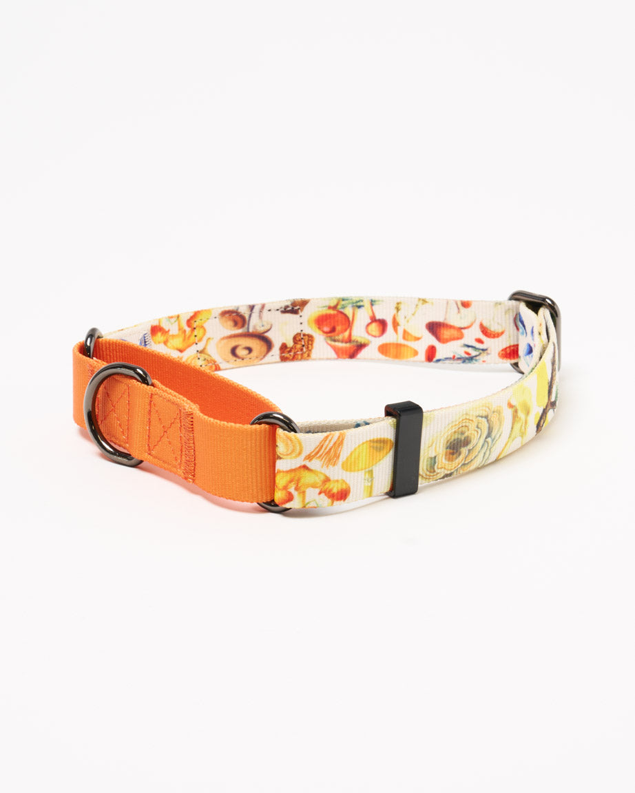 Mushrooms Eco Martingale Collar