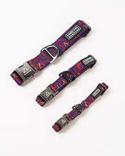 Alchemy Eco Pet Collar