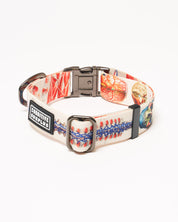 Anatomy Eco Pet Collar