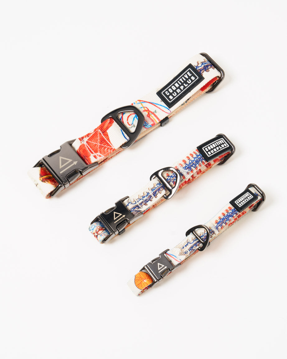 Anatomy Eco Pet Collar