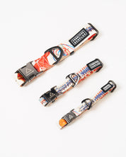 Anatomy Eco Pet Collar