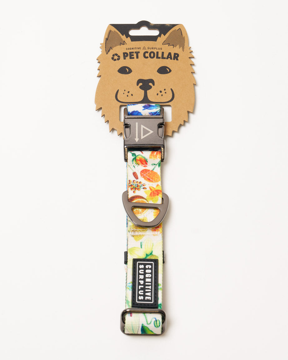 Botany Eco Pet Collar