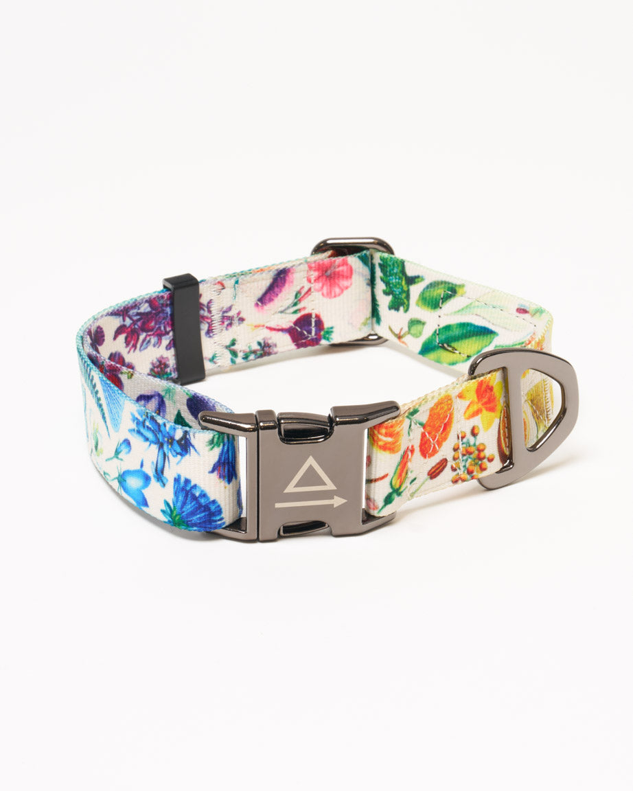 Botany Eco Pet Collar