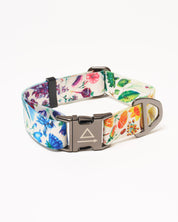 Botany Eco Pet Collar
