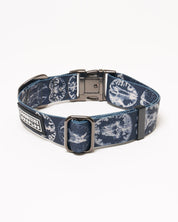 Brain Eco Pet Collar