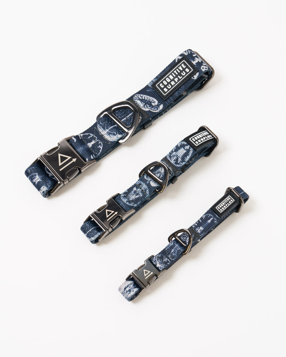 Brain Eco Pet Collar