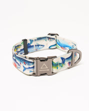 Freshwater Fish Eco Pet Collar