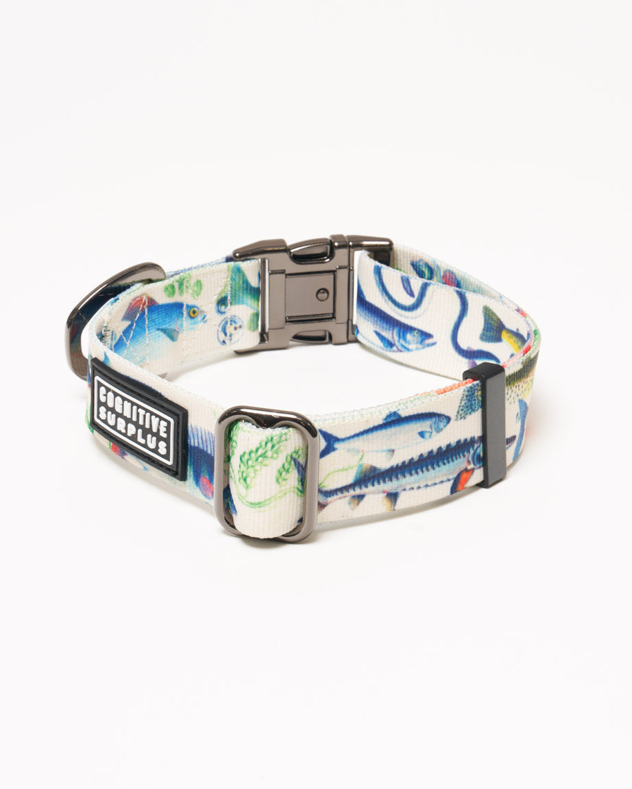 Freshwater Fish Eco Pet Collar