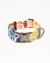 Gems & Minerals Eco Pet Collar