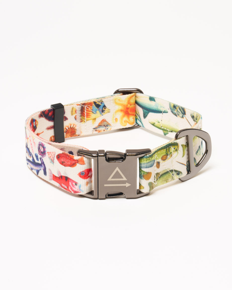 Ocean Science Eco Pet Collar