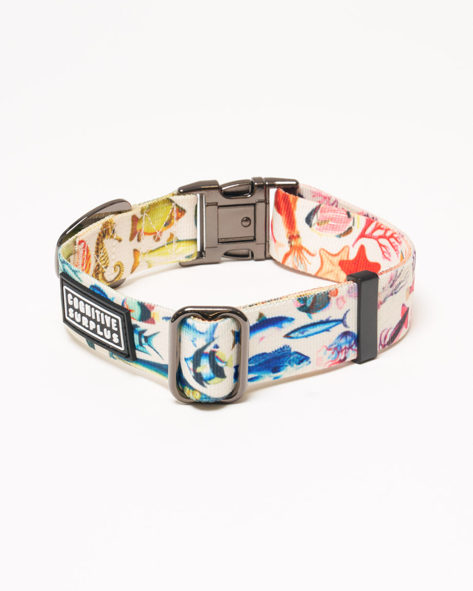 Ocean Science Eco Pet Collar