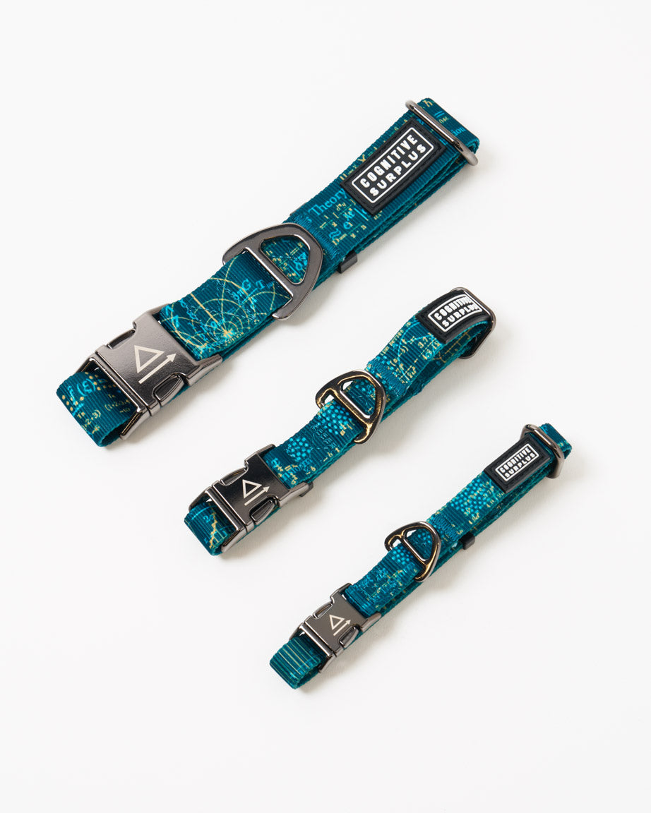 Equations That Changed the World Eco Pet Collar