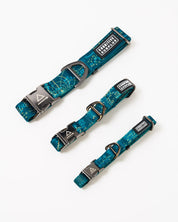 Equations That Changed the World Eco Pet Collar