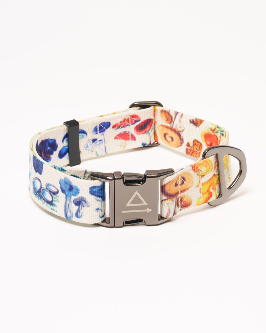 Mushrooms Eco Pet Collar