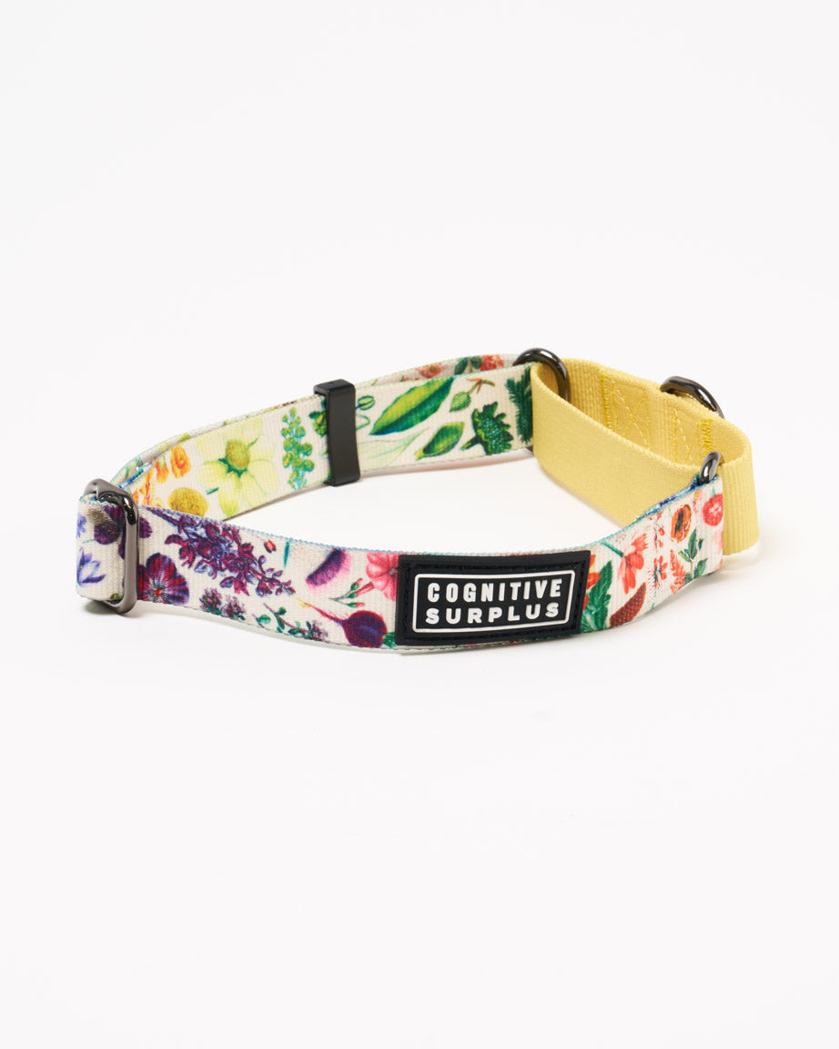 Botany Eco Martingale Collar