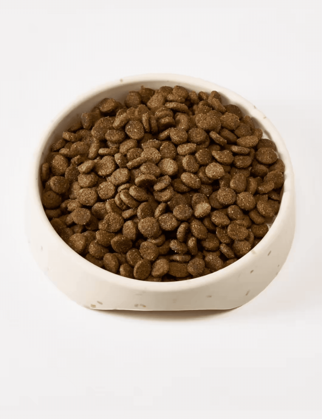 DogBowlVideoB.gif