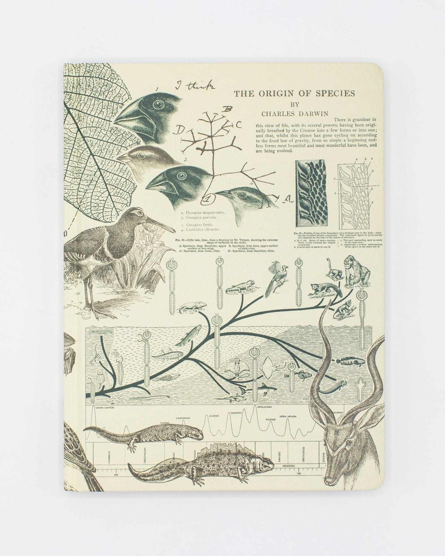 Evolution-Hardcover-Dot-Grid-Cognitive-Surplus-153_c364aa03-b7e8-4592-bf79-c16e5ec7db34.jpg