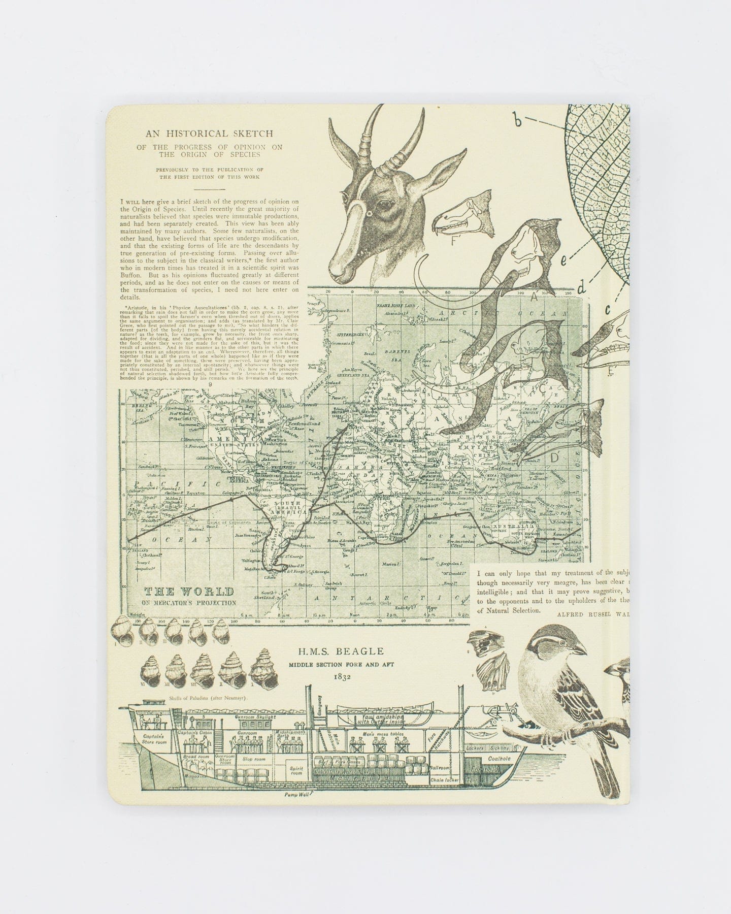 Evolution-Hardcover-Dot-Grid-Cognitive-Surplus-715_f8d42063-a0bf-43aa-92b5-13153ef29763.jpg