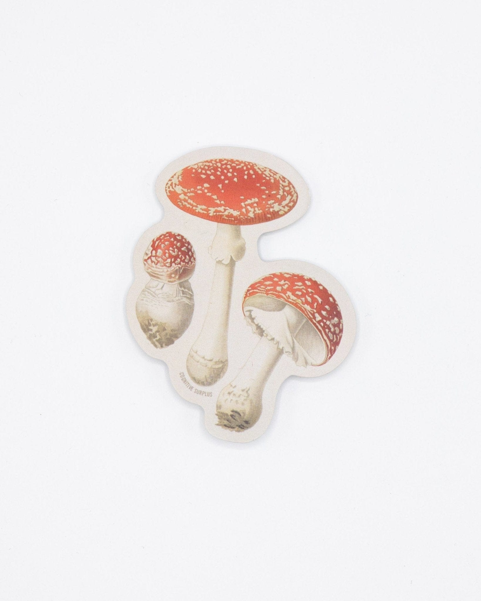 Fly-Agaric-Poisonous-Mushrooms-Sticker-Cognitive-Surplus-903.jpg