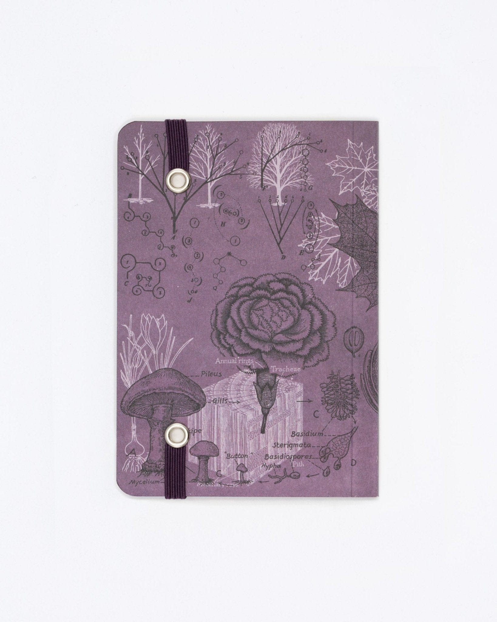 Forest at Dusk Observation Softcover Cognitive Surplus