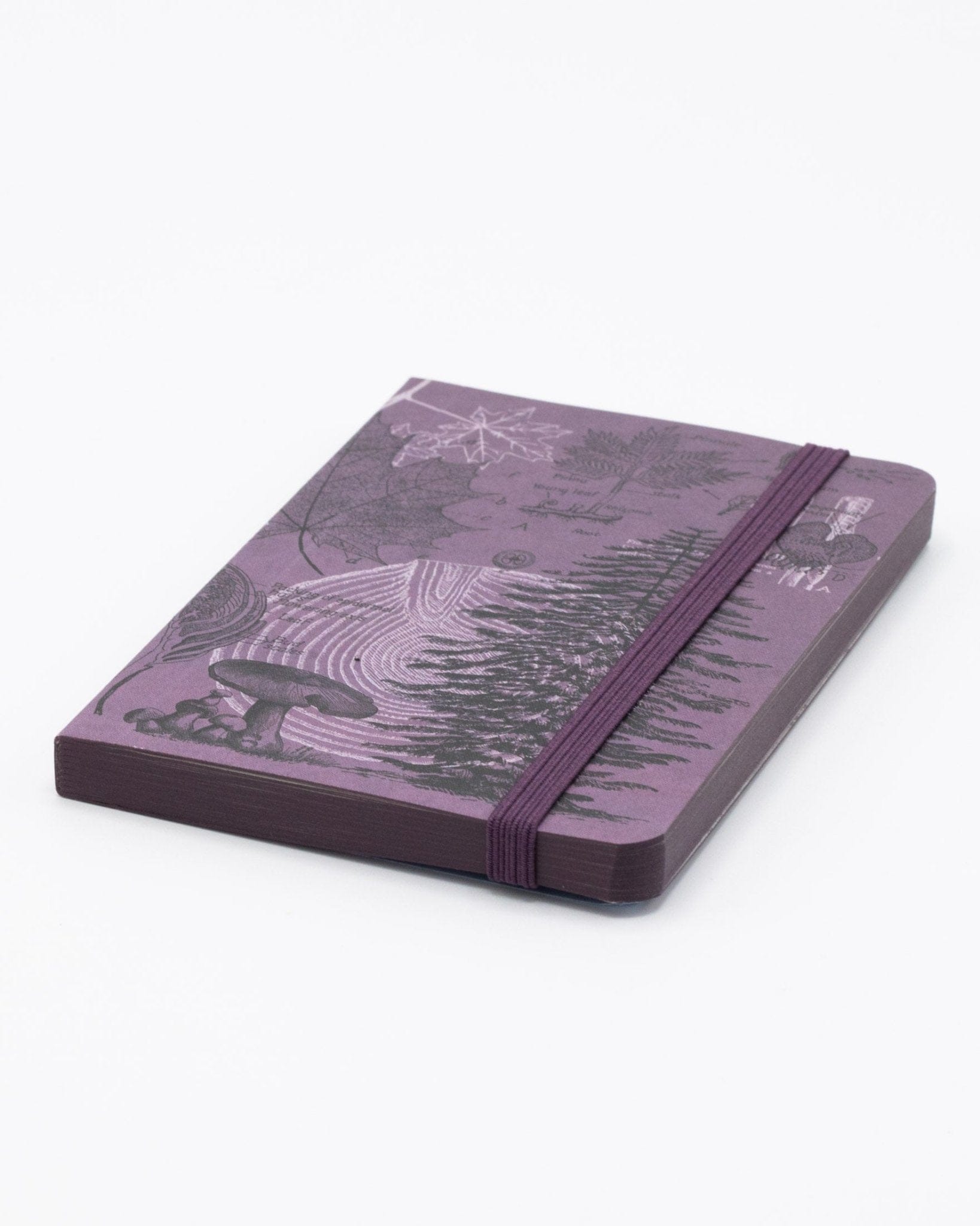 Forest at Dusk Observation Softcover Cognitive Surplus