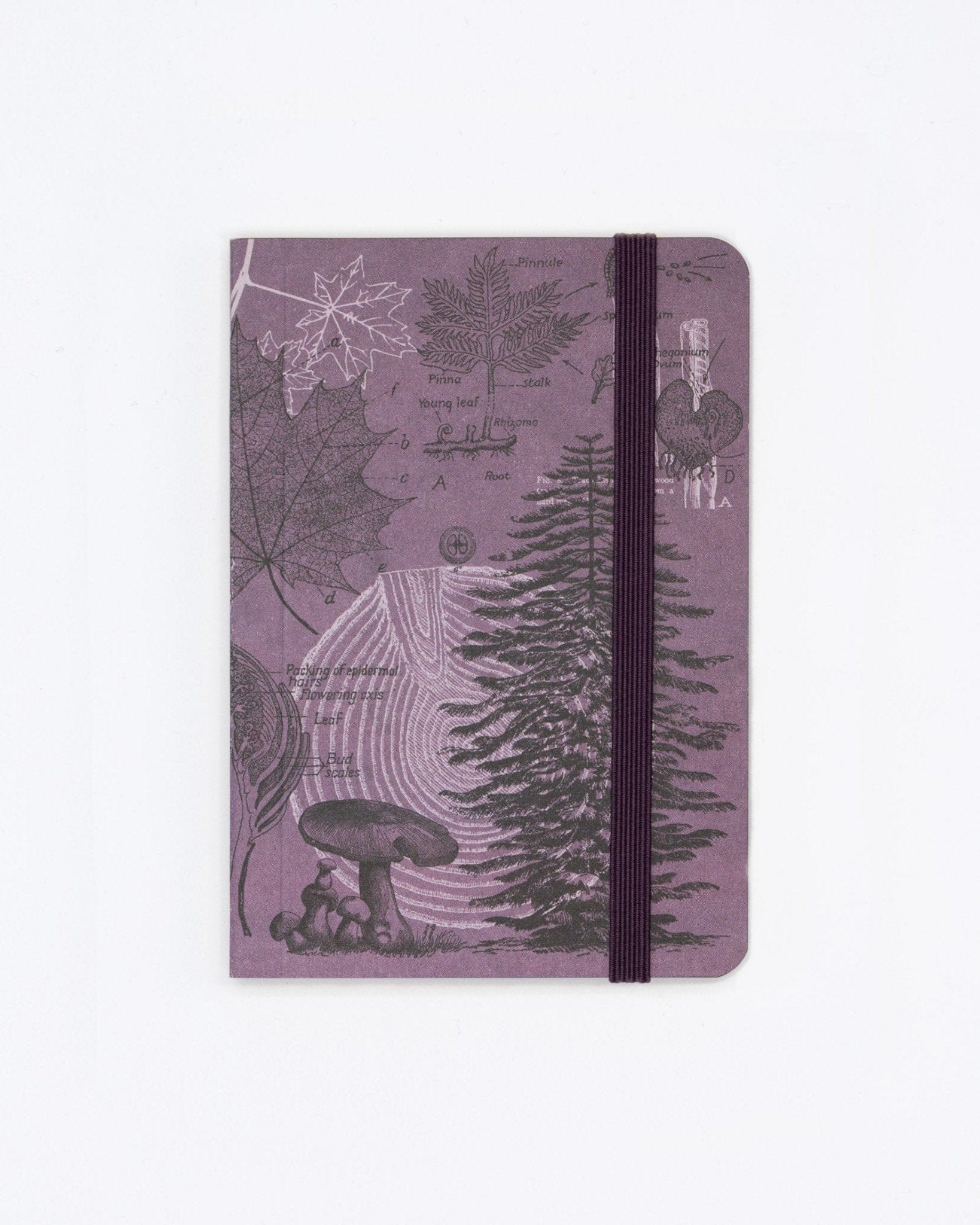 Forest at Dusk Observation Softcover Cognitive Surplus