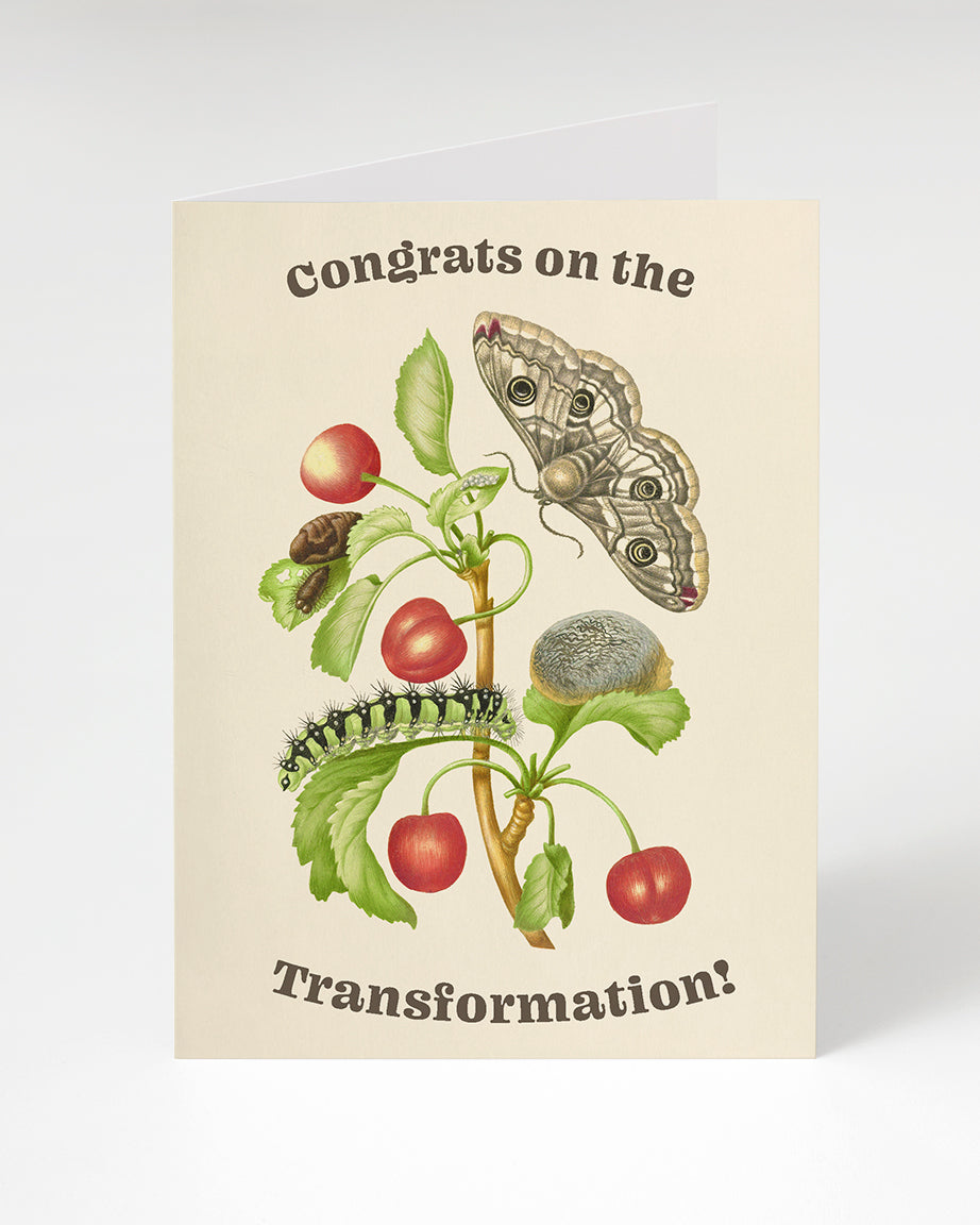 GCTransformationSKU_web.jpg