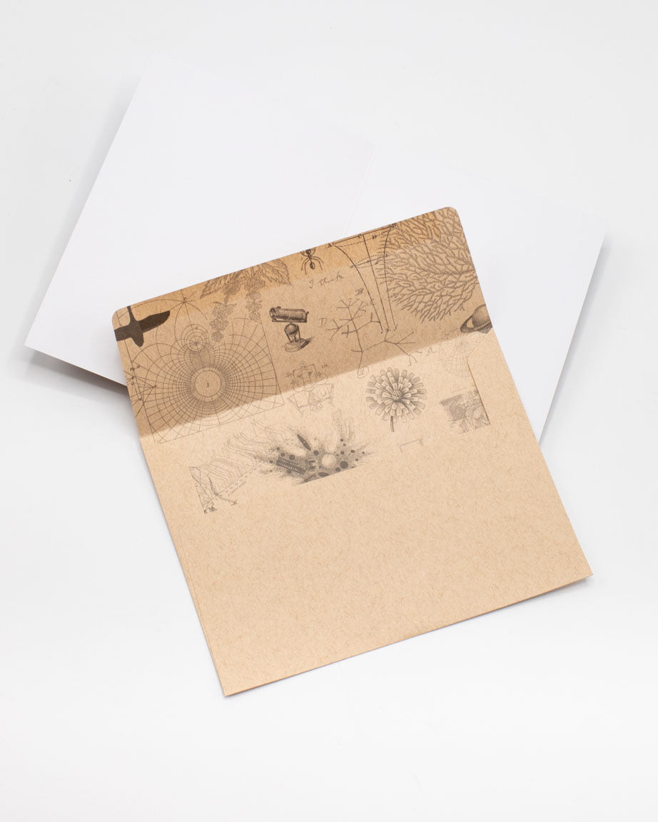 Polar Exploration - Happy Solstice Greeting Card