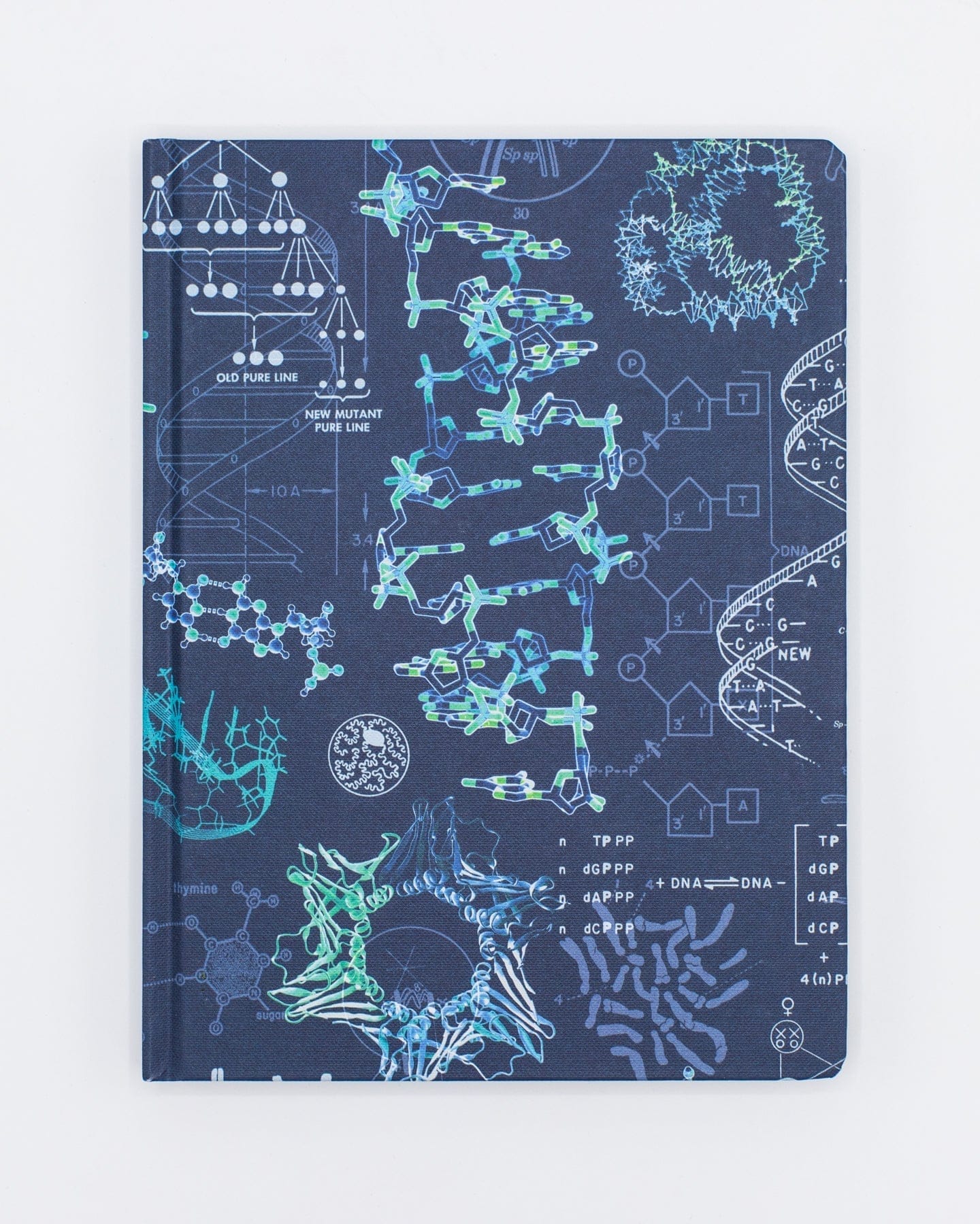 Genetics-DNA-Hardcover-Lined-Grid-Cognitive-Surplus-480_e3d7f838-a3f6-44a9-a027-e2496ffe3a46.jpg