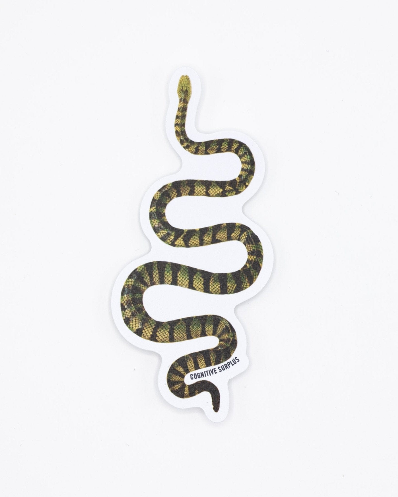 Green-Snake-Sticker-Cognitive-Surplus-307.jpg