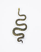 Green Snake Sticker