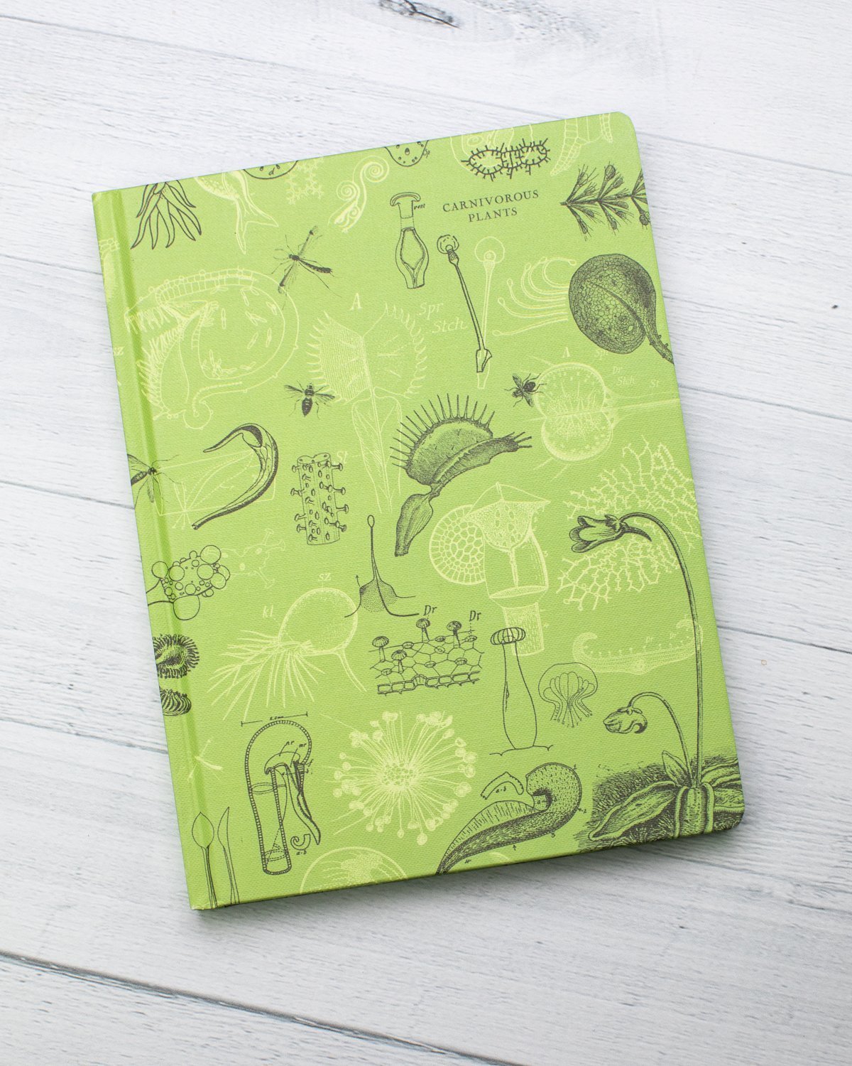 Carnivorous Plants Hardcover - Lined/Grid - Cognitive Surplus