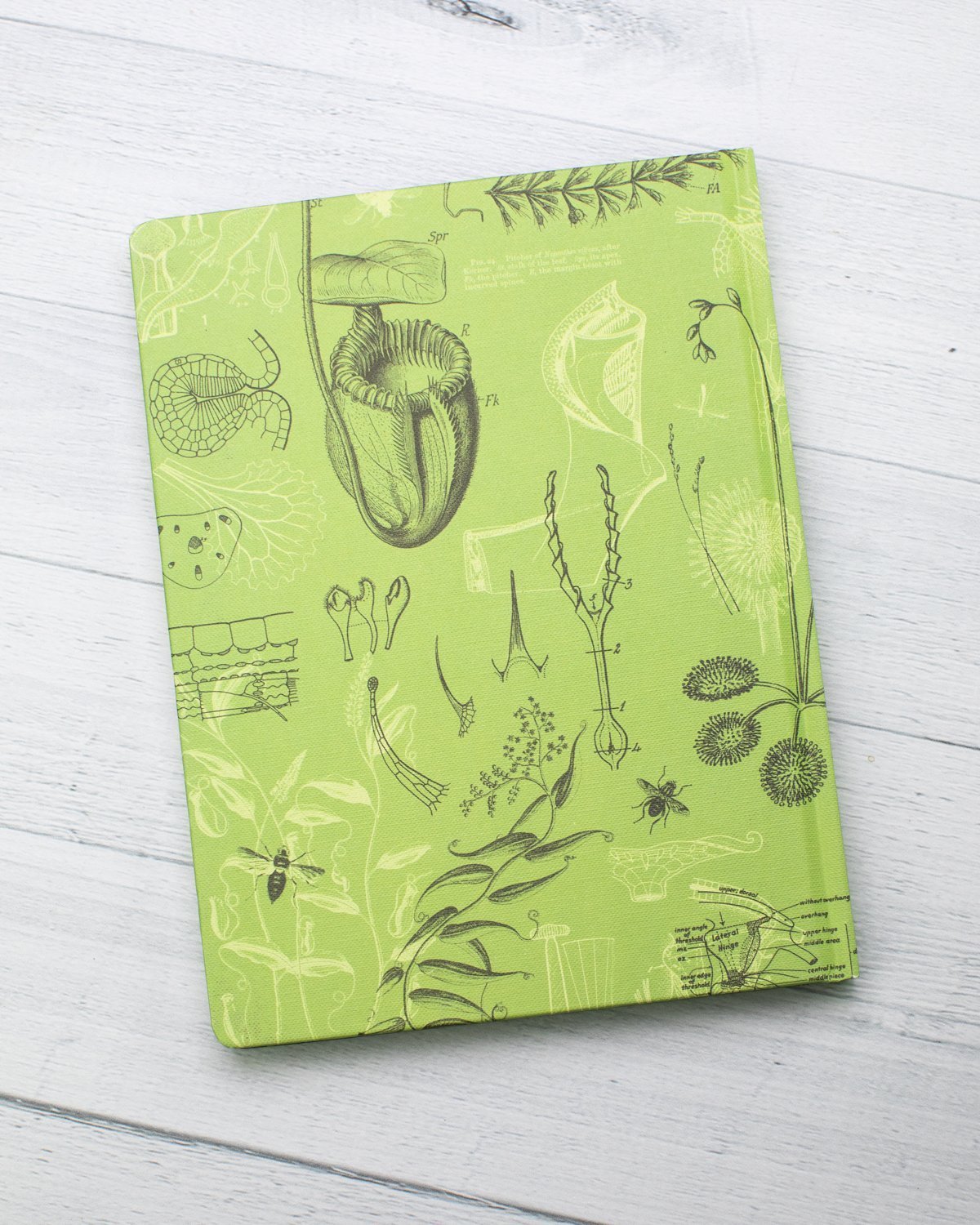 Carnivorous Plants Hardcover - Lined/Grid - Cognitive Surplus