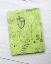 Carnivorous Plants Hardcover - Lined/Grid - Cognitive Surplus